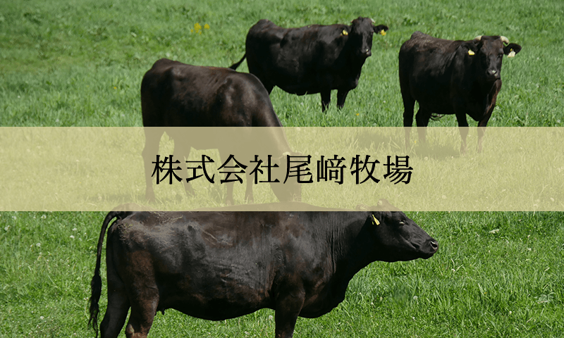 Webサイトを公開